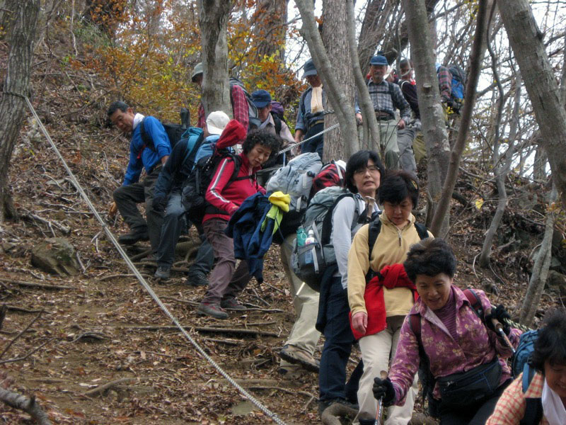 高川山